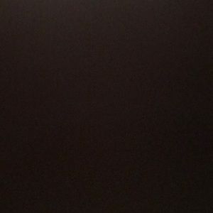 Meet your Posher, Delleshia